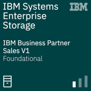 IBM Systems Business Partner for Enterprise Storage Sales